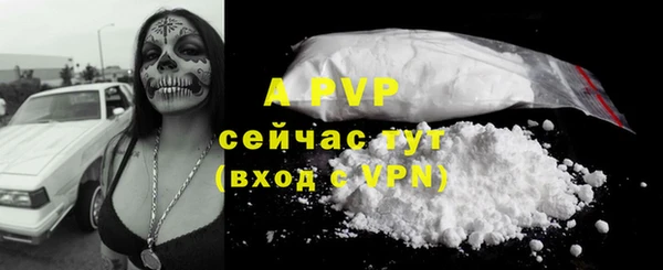 винт Белокуриха